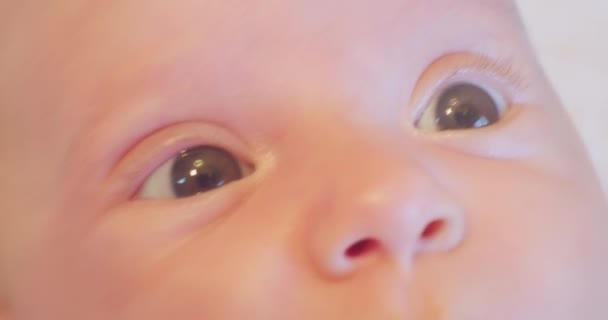 Piccolo simpatico bambino divertente con una sorpresa look.close-up — Video Stock