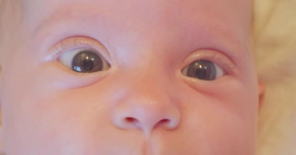 Nyfiken förvånad utseende av en liten söt baby.close-up — Stockvideo