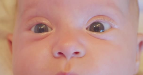 Sguardo sorpreso ridicolmente carino piccolo baby.baby faccia da vicino — Video Stock