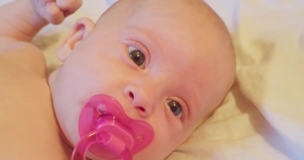 Kleine grappige baby met roze fopspeen in zijn mond. close-up portret — Stockvideo