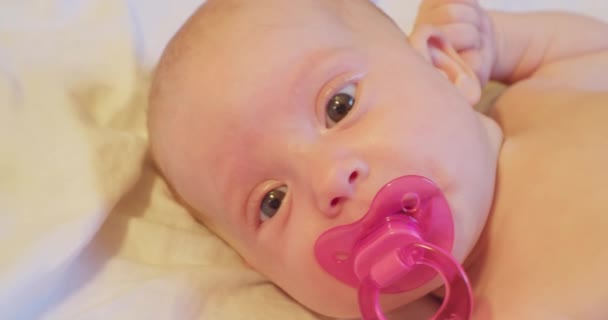 Little funny baby with pink pacifier in his mouth. close-up portrait — Stock Video