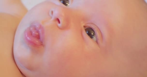 The face of a small cute funny child who looks up in surprise. close-up. — Stock Video