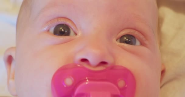 Kleine leuke grappige baby met roze fopspeen in de mond. close-up portret — Stockvideo