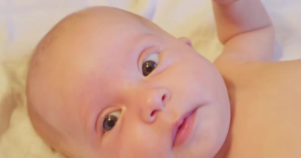 Portret van eigentijdse schattige kleine nieuwsgierige pasgeboren baby met attente look.extreme close-up — Stockvideo