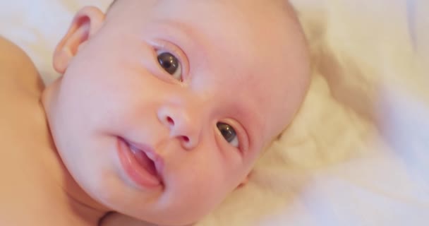 Portré kortárs aranyos kis kíváncsi újszülött baba figyelmes megjelenés.extrém közelkép — Stock videók