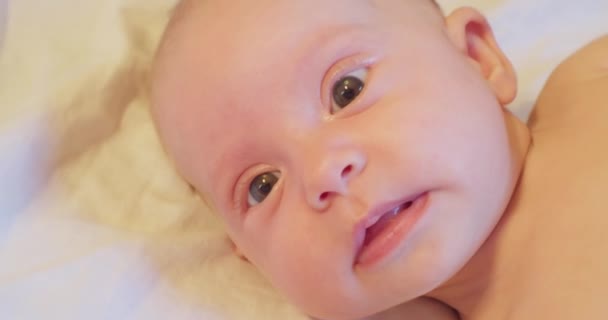 Portrait d'un petit bébé mignon extrême gros plan — Video