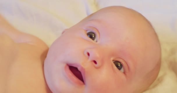 Porträtt av modern söt liten nyfiken nyfödd baby med uppmärksam look.extreme närbild — Stockvideo