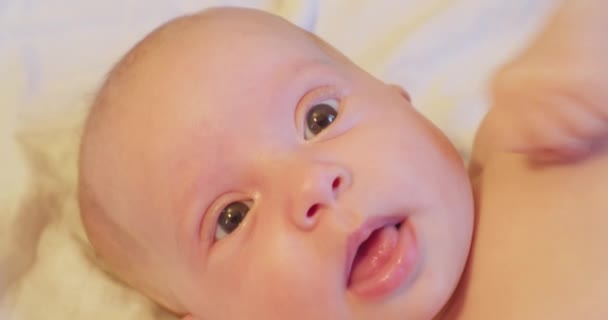 Ritratto di un piccolo neonato carino con uno sguardo curioso.estremamente primo piano — Video Stock