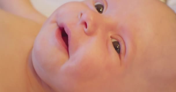 Portret van eigentijdse schattige kleine nieuwsgierige pasgeboren baby met attente look.extreme close-up — Stockvideo