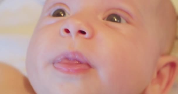 Portret współczesnego cute little ciekawski noworodka z uważnym wyglądem.extreme zbliżenie — Wideo stockowe