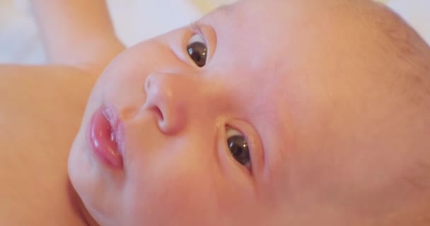 Surprised look ridiculously cute little baby.baby face close up — Stock Video