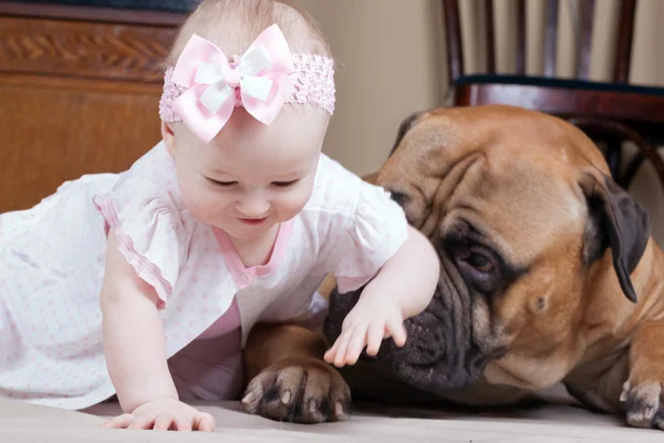 Liten flicka som leker med en hund. — Stockfoto