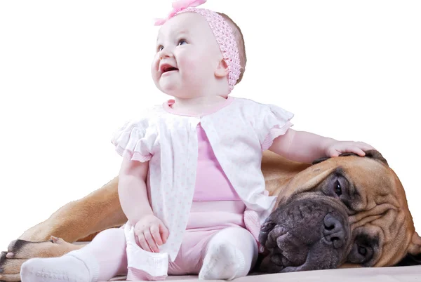 büyük köpek küçük neşeli kız korur