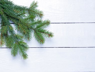 ağaç dalı ahşap yüzeye.