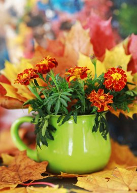 Çiçeklerle dolu bir sonbahar