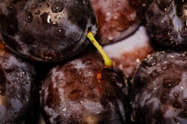 Olgun mavi erikler sepette