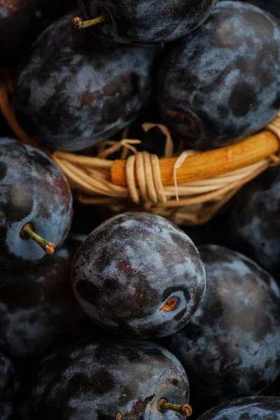 Prugne Azzurre Mature Cesto — Foto Stock