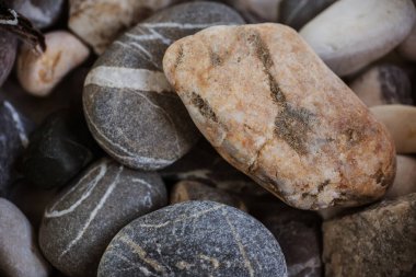 Masaya istiflenmiş deniz kabukları ve çakıl taşları.