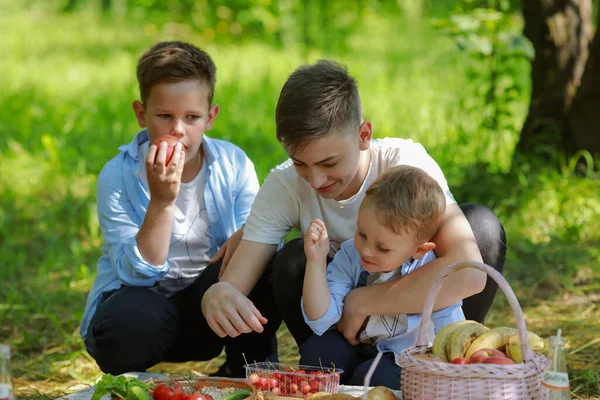 Сімейний Відпочинок Природі Міні Пікнік — стокове фото