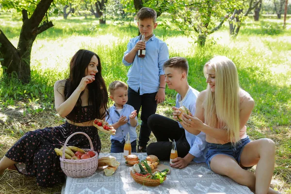 Rodzinne Wakacje Przyrodzie Mini Piknik — Zdjęcie stockowe