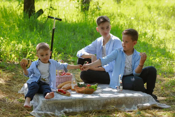 Сімейний Відпочинок Природі Міні Пікнік — стокове фото