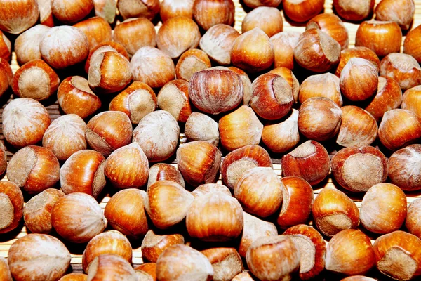 Sprinkle of hazelnuts — Stock Photo, Image