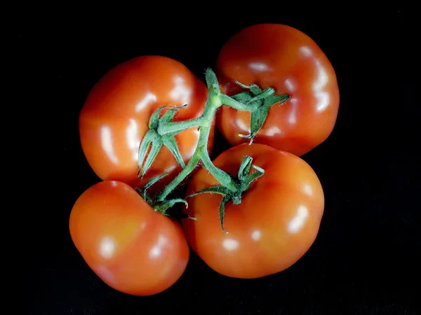 Tomates en gouttes sur fond noir — Photo