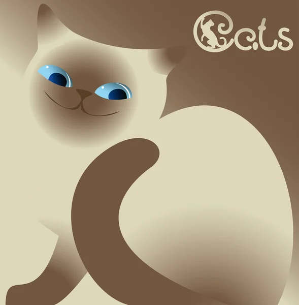 暹罗小猫坐在米色的背景 — 图库矢量图片
