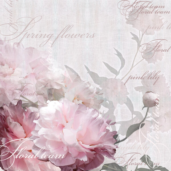 пионы цветочного дизайна
