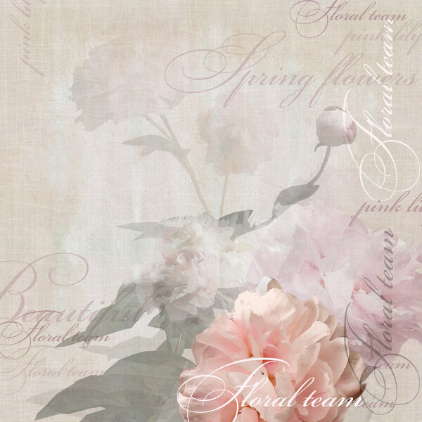 пионы цветочного дизайна
