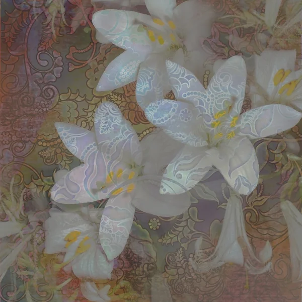 Pozadí s květinovým vzorem, siluety bílá lilie — Stock fotografie