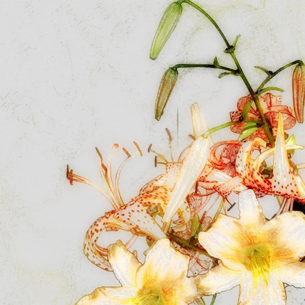 花のデザイン ブーケ オレンジ lilyes — ストック写真