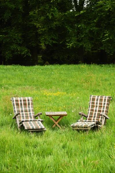 Liegestühle im Garten — Stockfoto