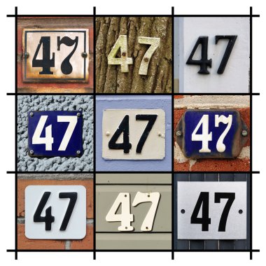 Sayı 47