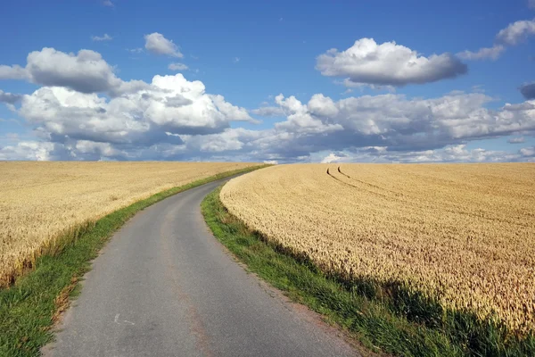 Sommar — Stockfoto