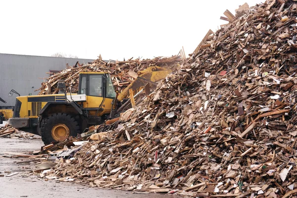 Cumulo di biomassa cippato — Foto Stock