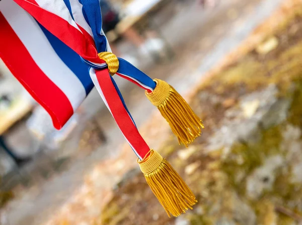 Tricolor Sjaal Van Franse Burgemeester Stockafbeelding