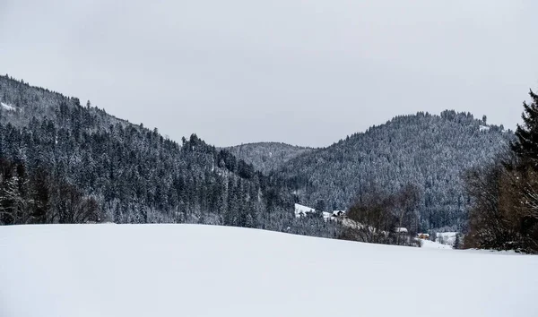 Karlı Kış Manzarası — Stok fotoğraf