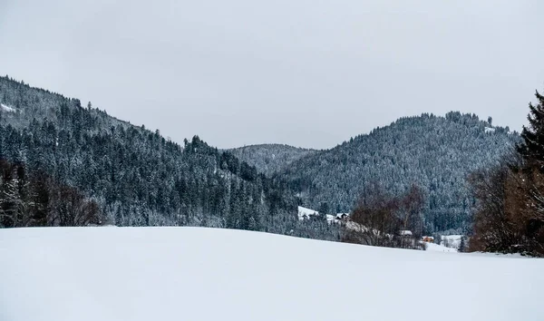 Paisaje Invierno Con Nieve —  Fotos de Stock
