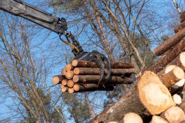 Ormancılık çalışmasından sonra günlükler boşaltılıyor