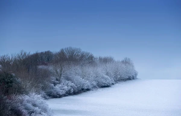 Pemandangan Musim Dingin Dengan Pohon Dan Salju — Stok Foto