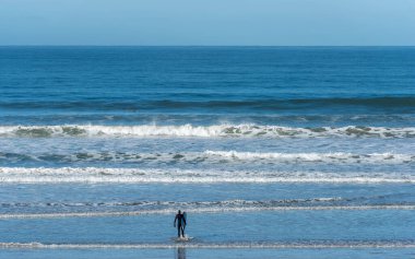 Kaliforniya plajında sörfçü