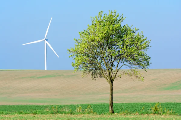 Tree and energy — Stock Photo, Image