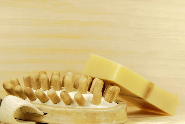 Spa massage brush — Stock Photo, Image