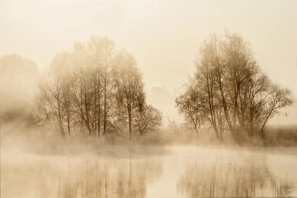 Vijver — Stockfoto