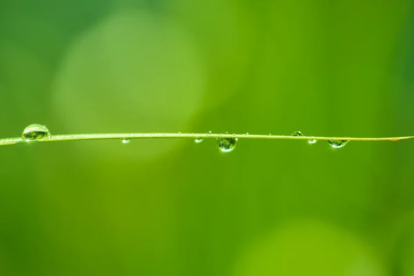 Laat vallen. — Stockfoto