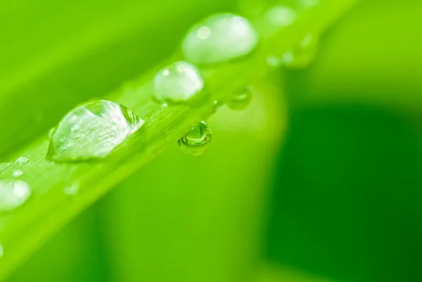 Queda de chuva — Fotografia de Stock