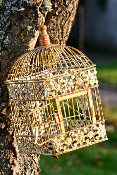 Cage à oiseaux — Photo