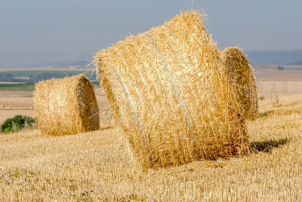 Bolas de palha — Fotografia de Stock