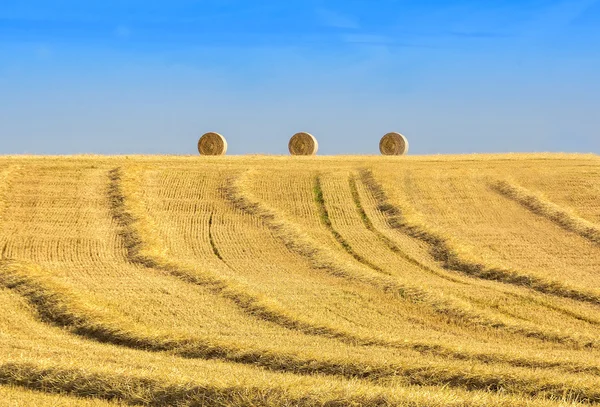 Harvested field and straw roll — Stock Photo, Image